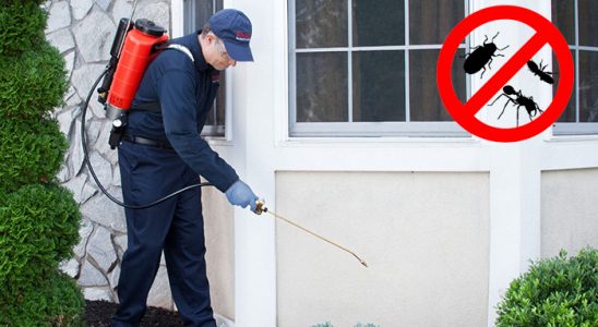 Sincik Akrep İlaçlama böcek ilaçlama ve haşere kontrolü — ilaclama-tr.com